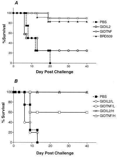 FIG. 6