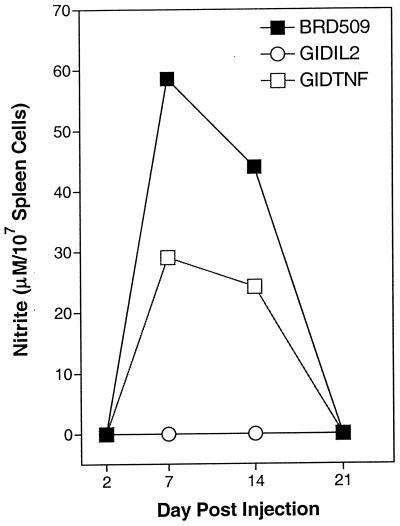 FIG. 5