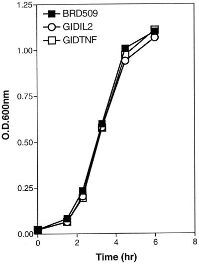 FIG. 1