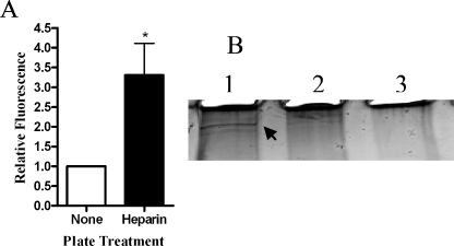 FIG. 8.