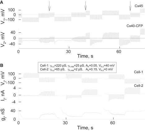 Figure 11