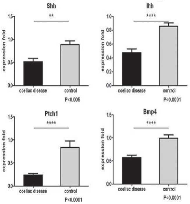 Figure 1)