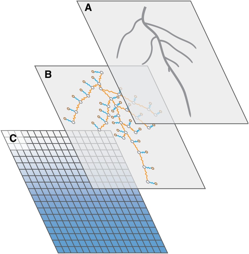 Figure 1.