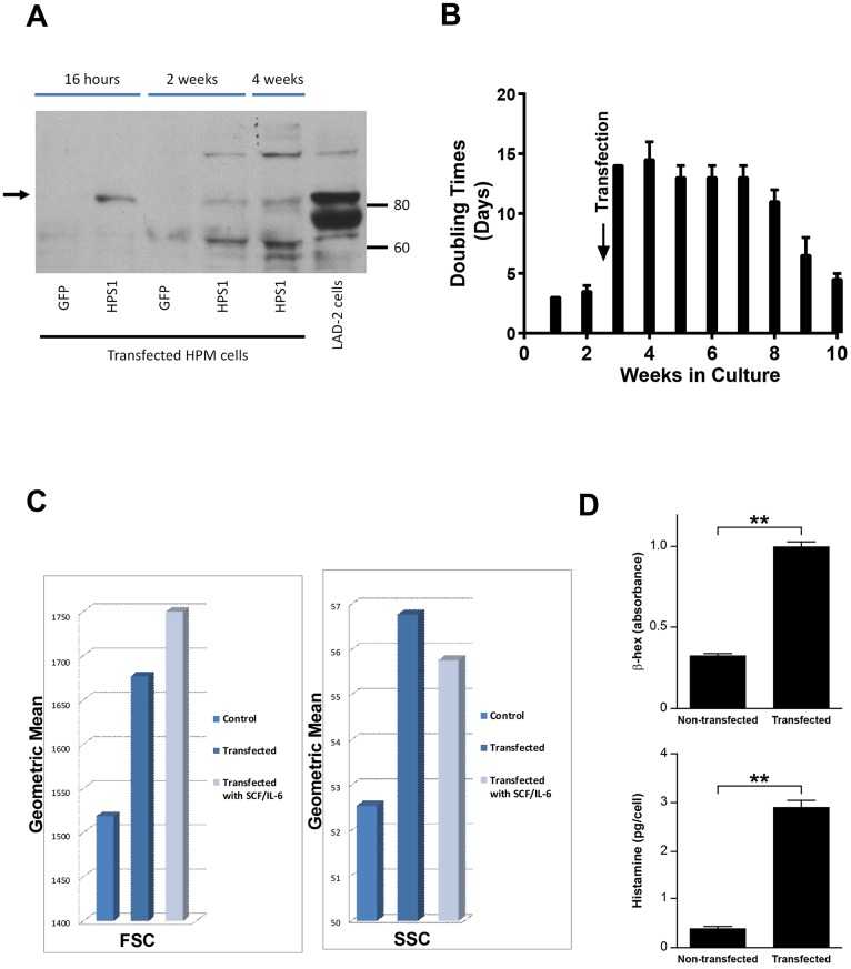 Fig 4