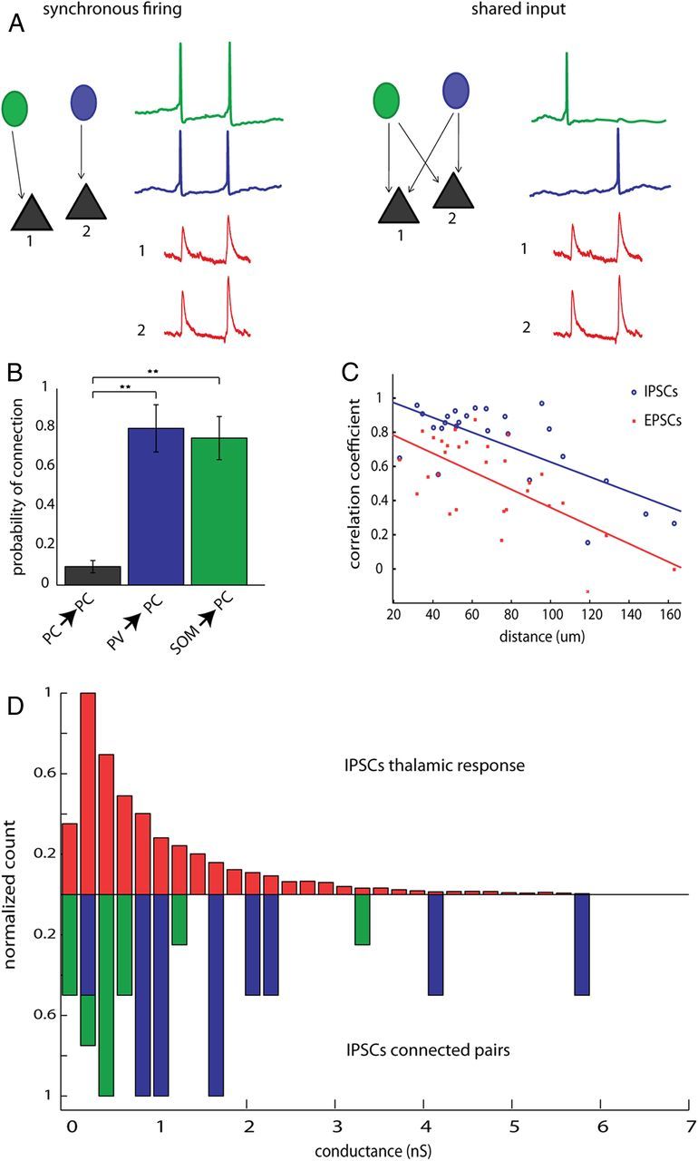 Figure 10.