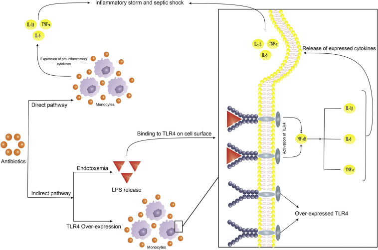 Figure 1