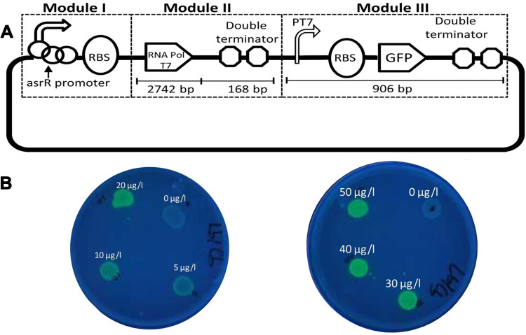 Figure 6