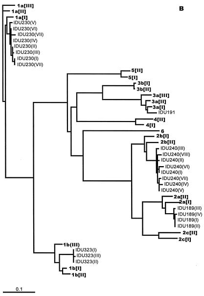 FIG. 3