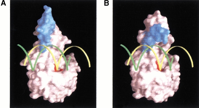 Fig. 5.