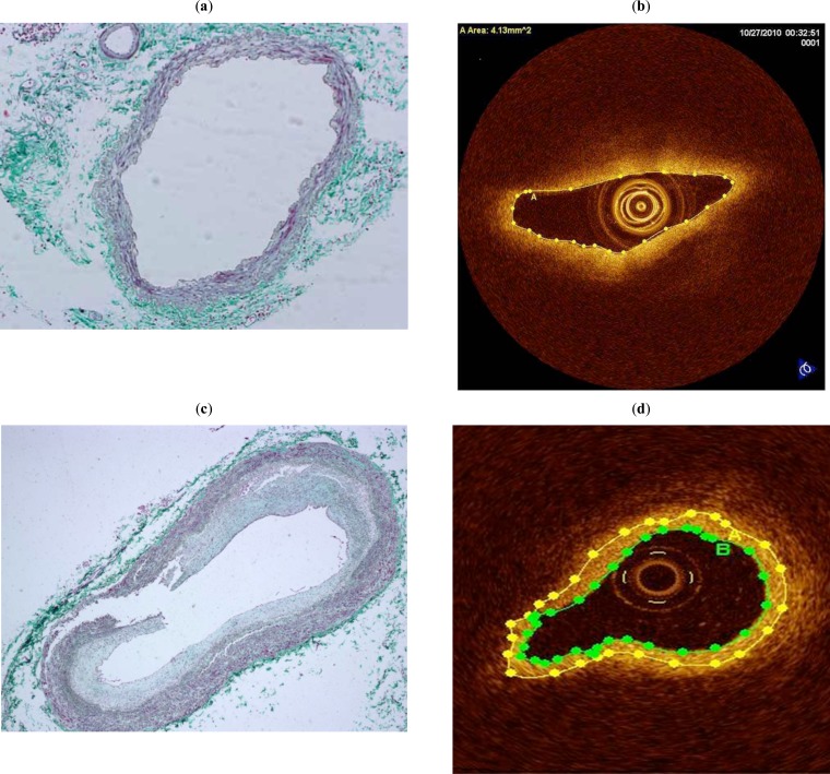 Fig. (3)