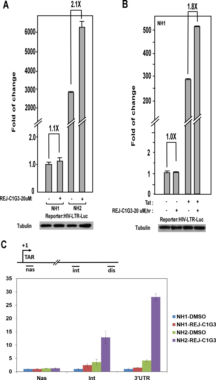 Fig 4