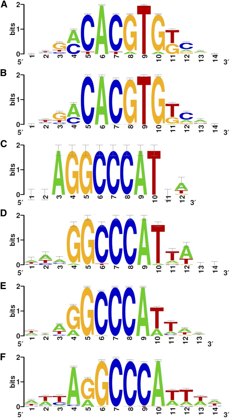 Figure 5.