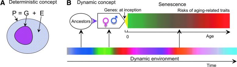 FIG. 1.