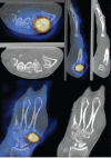 Figure 5a