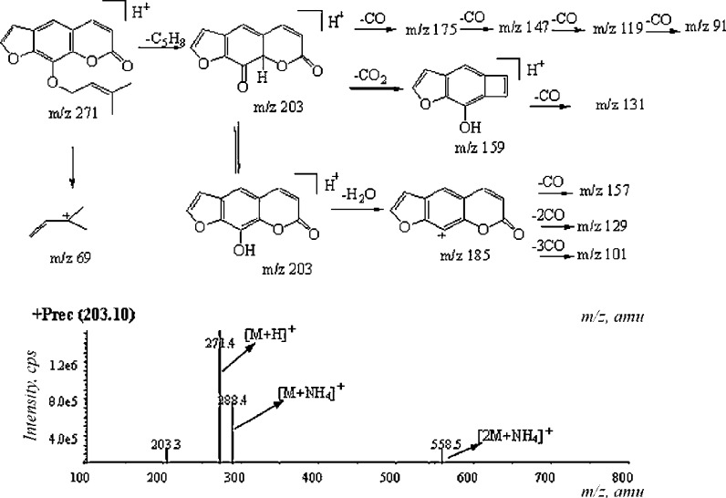 Fig. 4