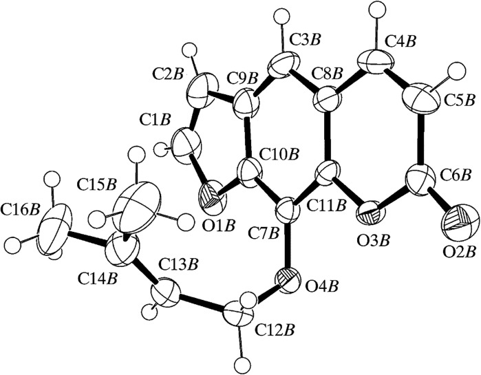 Fig. 1