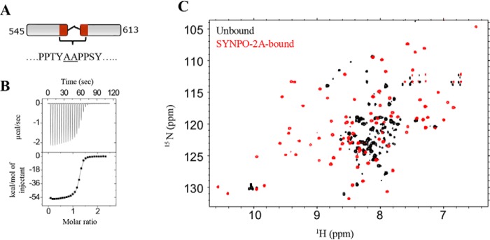 Figure 6.