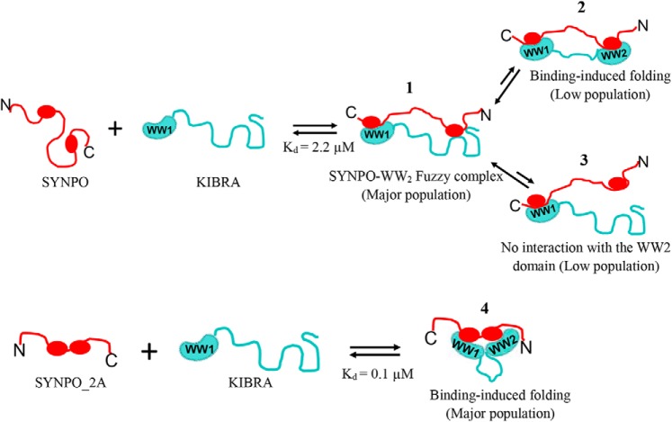 Figure 7.