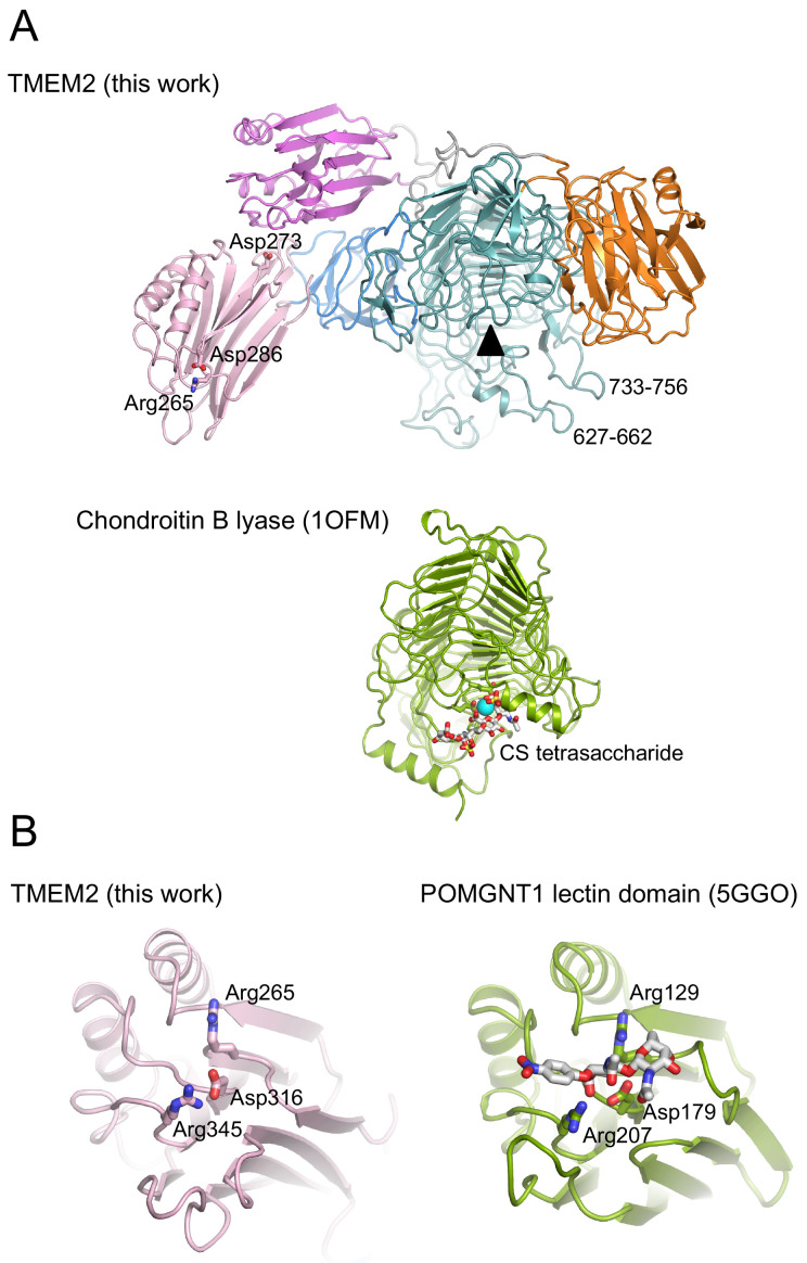 Figure 3. 