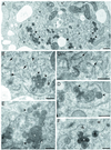 FIG. 8.
