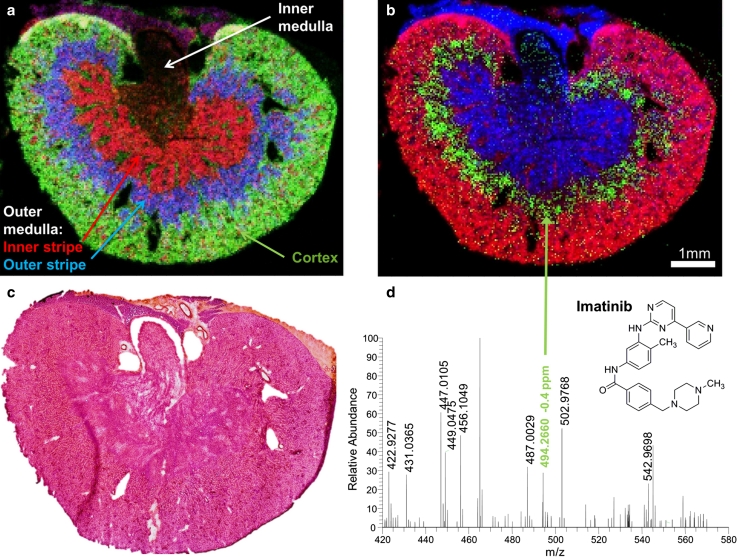 Fig. 3