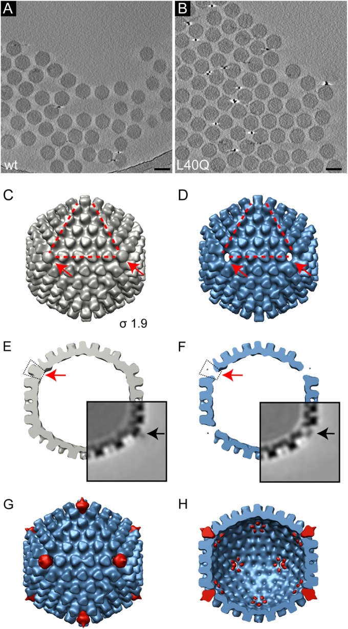 FIG 5