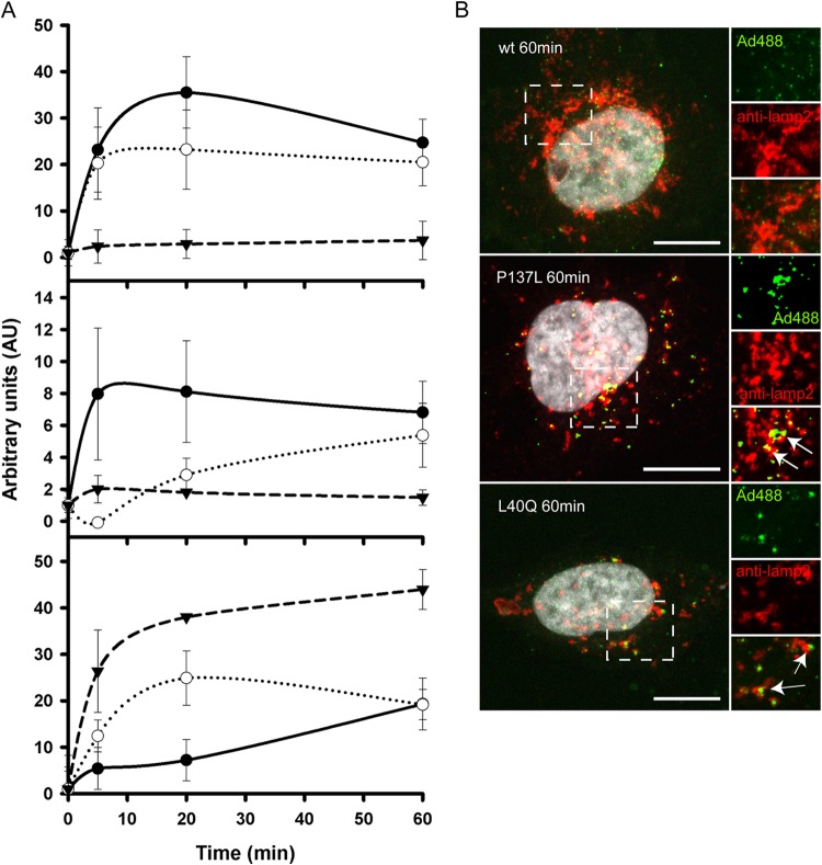 FIG 2