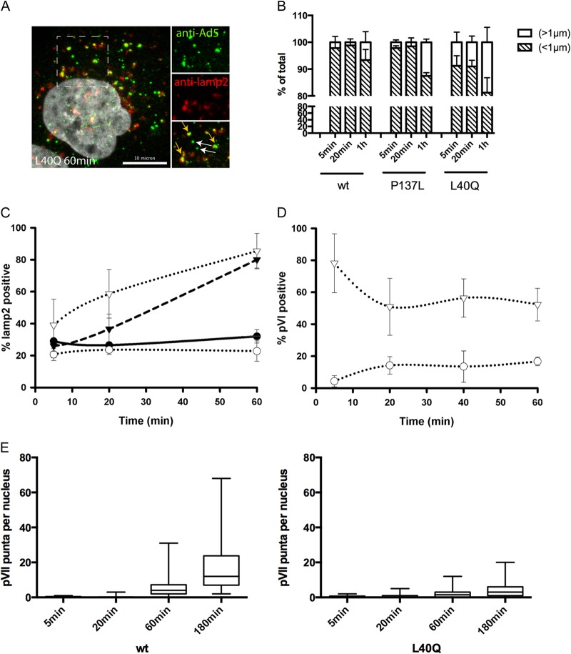 FIG 3