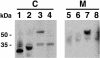 FIG. 5.