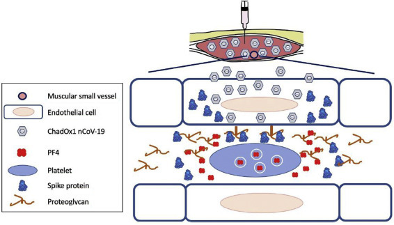 Figure 15.2