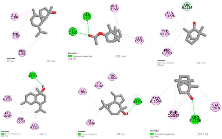 Figure 5