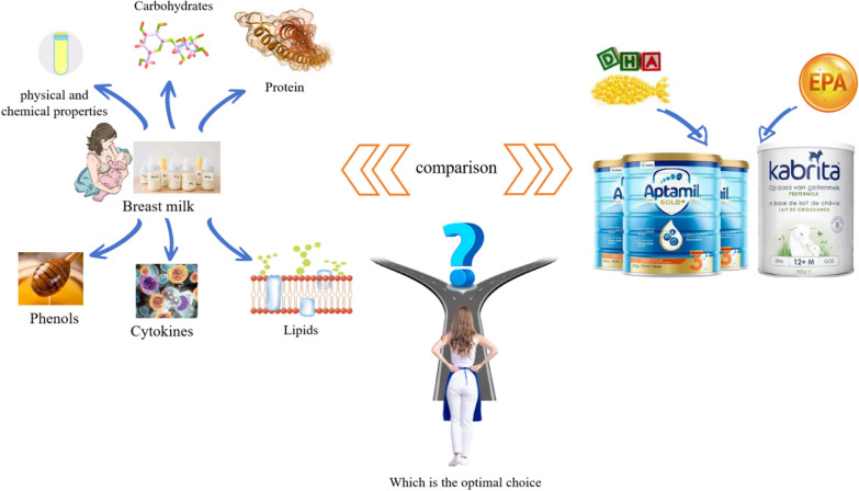 graphic file with name 13659_2024_444_Figa_HTML.jpg