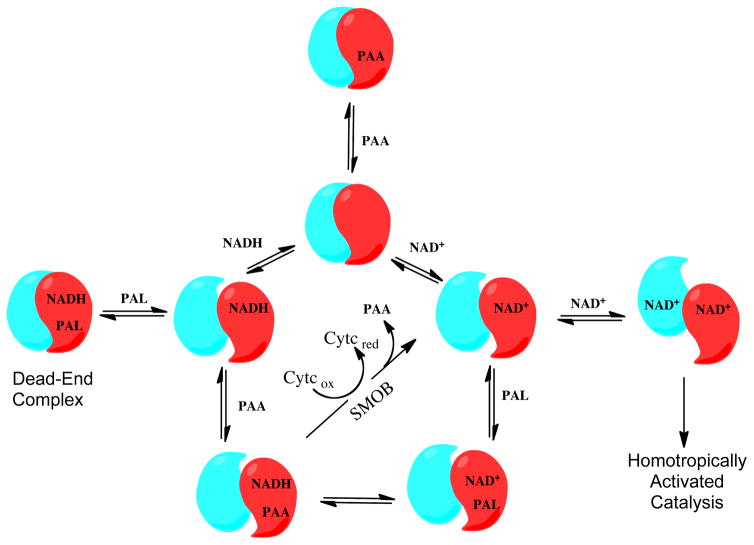 Scheme 1