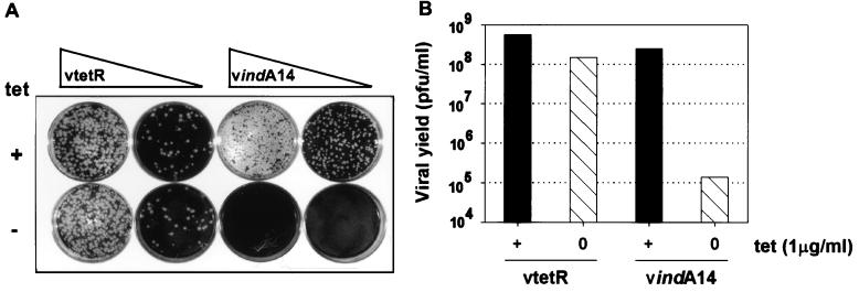 FIG. 7