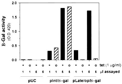 FIG. 5