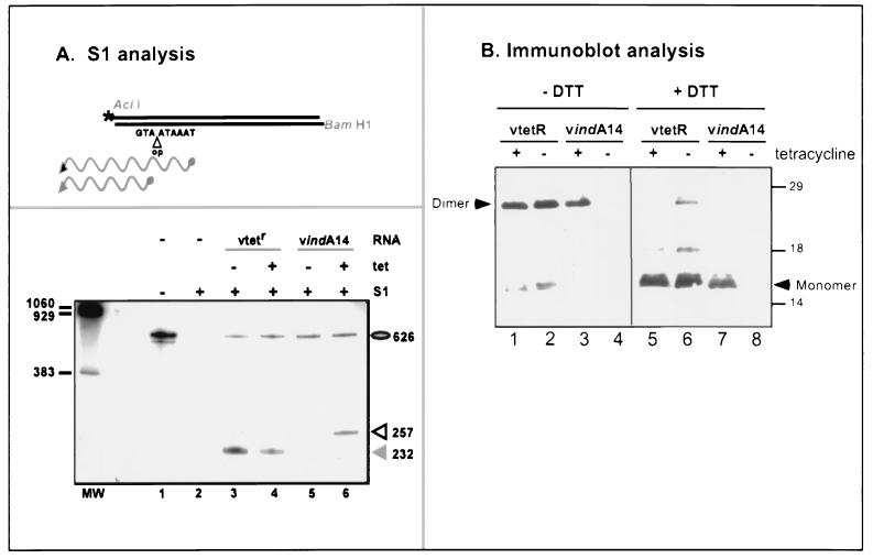 FIG. 6