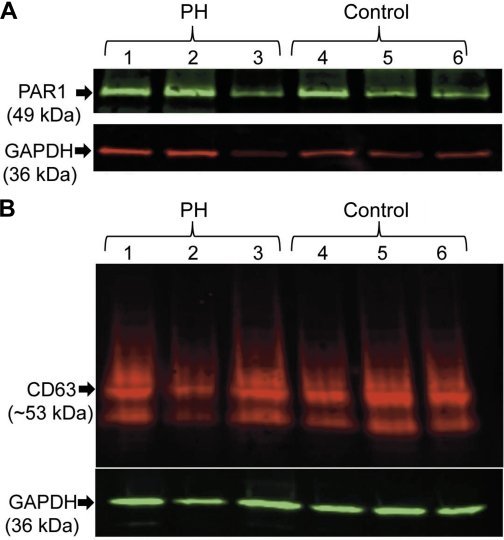 Fig. 6.