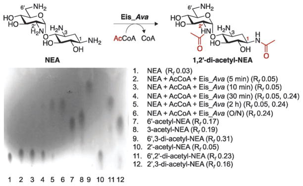 Fig. 4