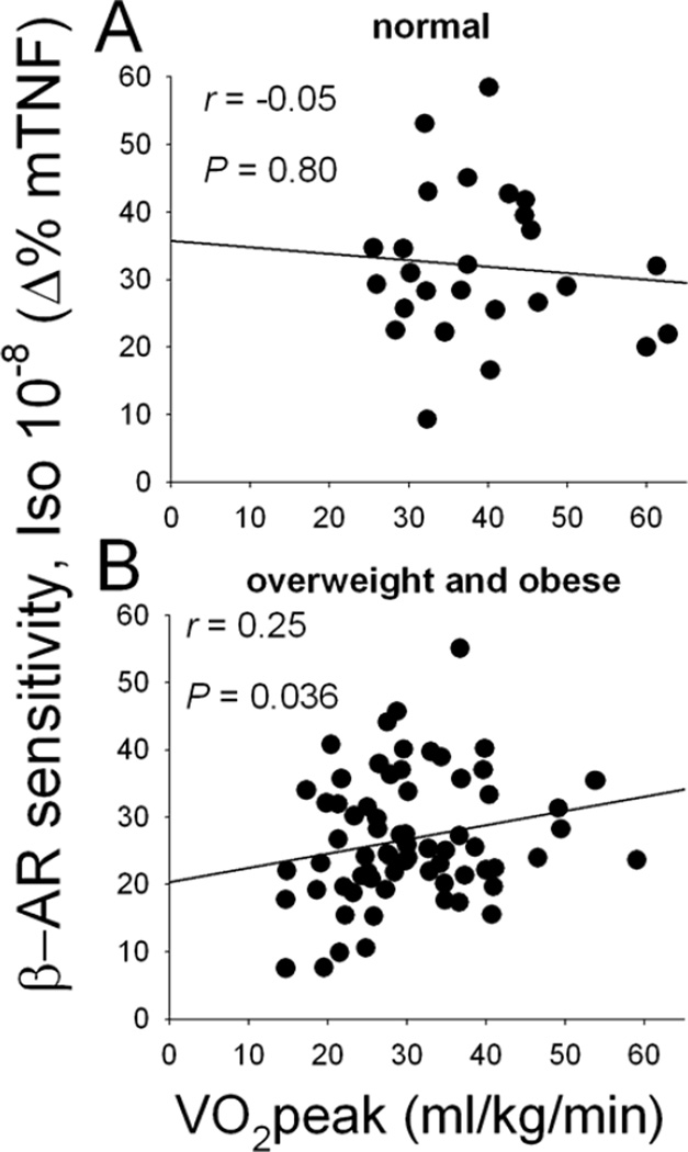 Fig.3