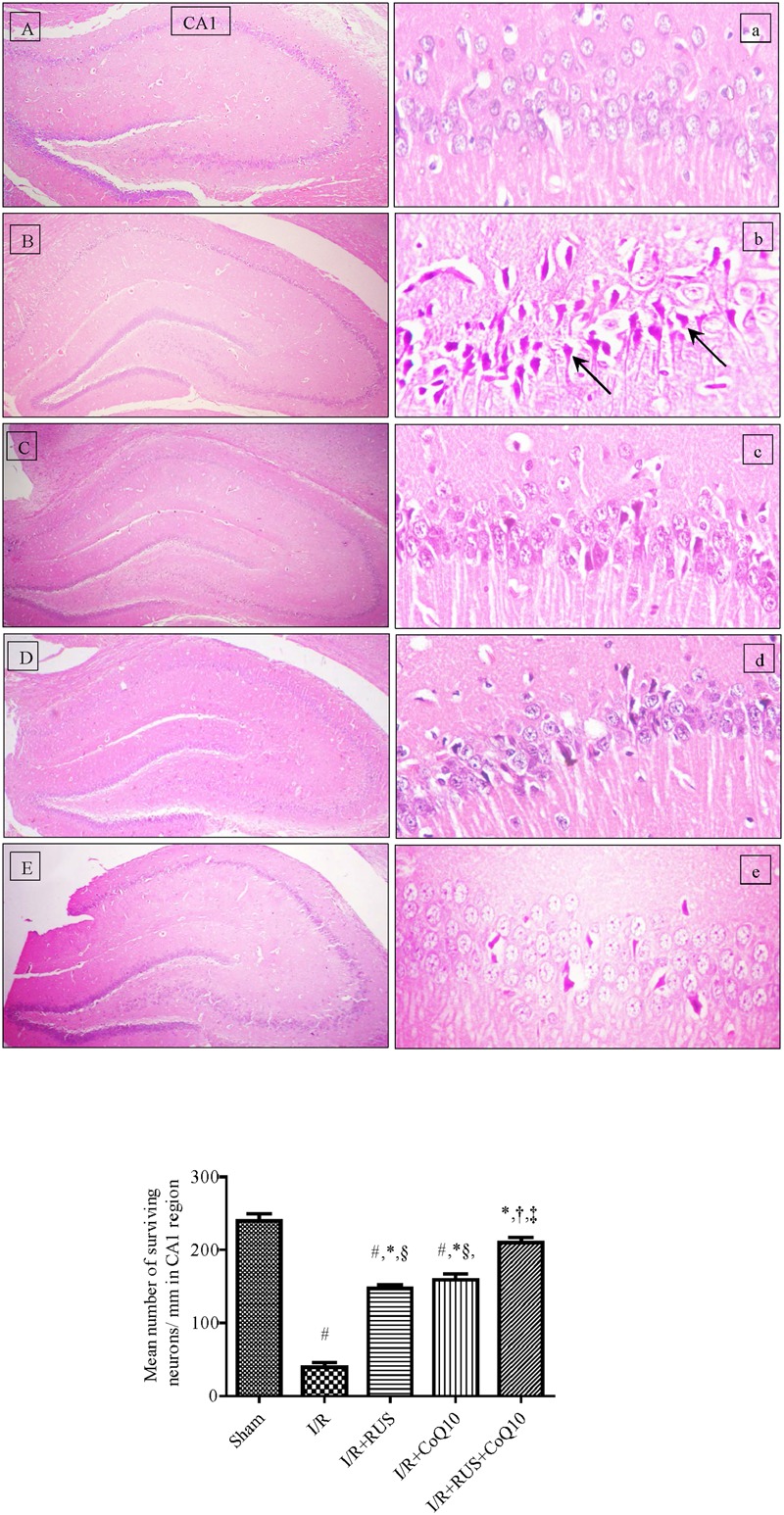 FIGURE 1