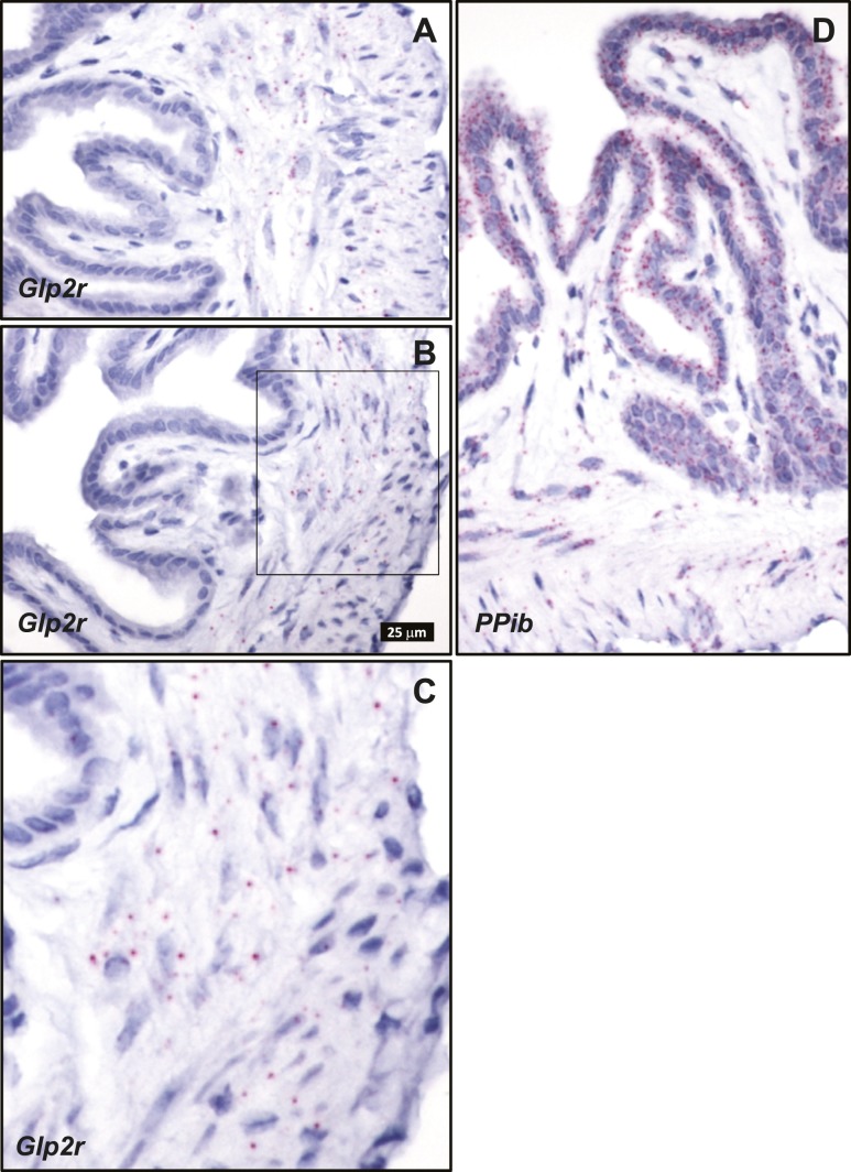 Figure 12.