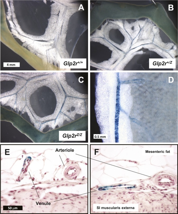 Figure 9.