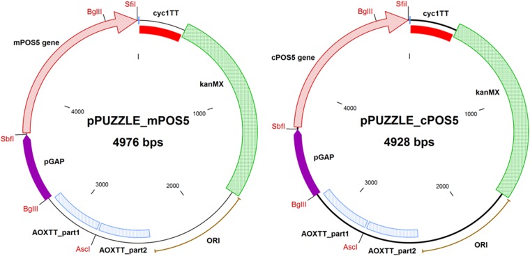 FIG 6