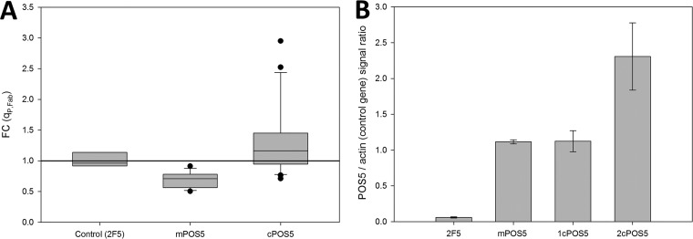 FIG 1