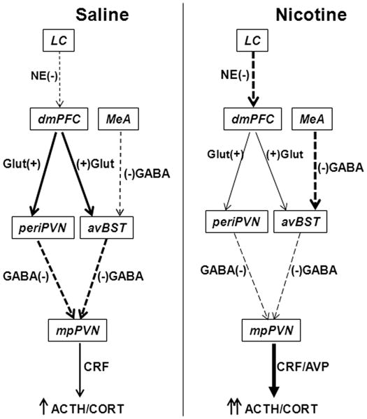 Fig. 8