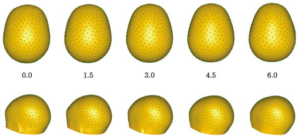 Fig. 8