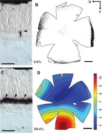 Fig. 4