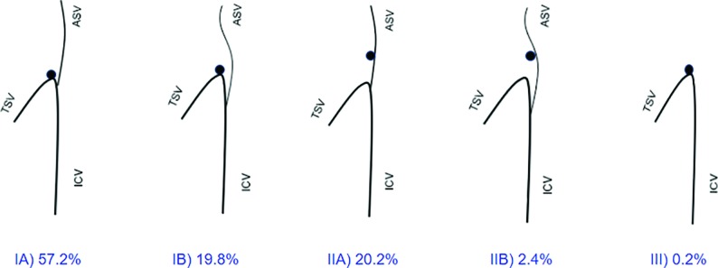 Fig 1.