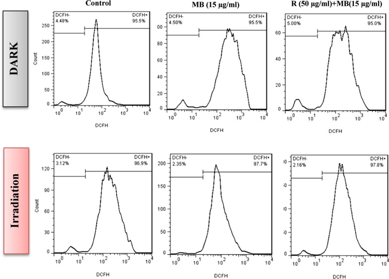 Fig. 10