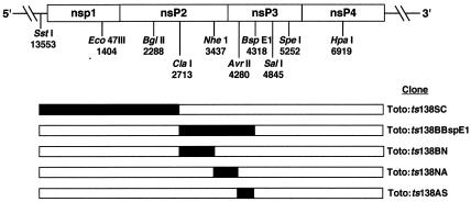 FIG. 1.